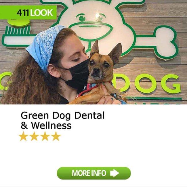 Green Dog Dental & Wellness