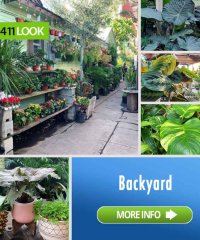 Mickey Hargitay Plants