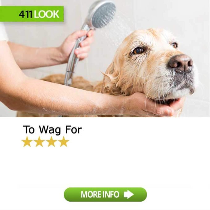 To Wag For