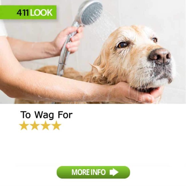 To Wag For